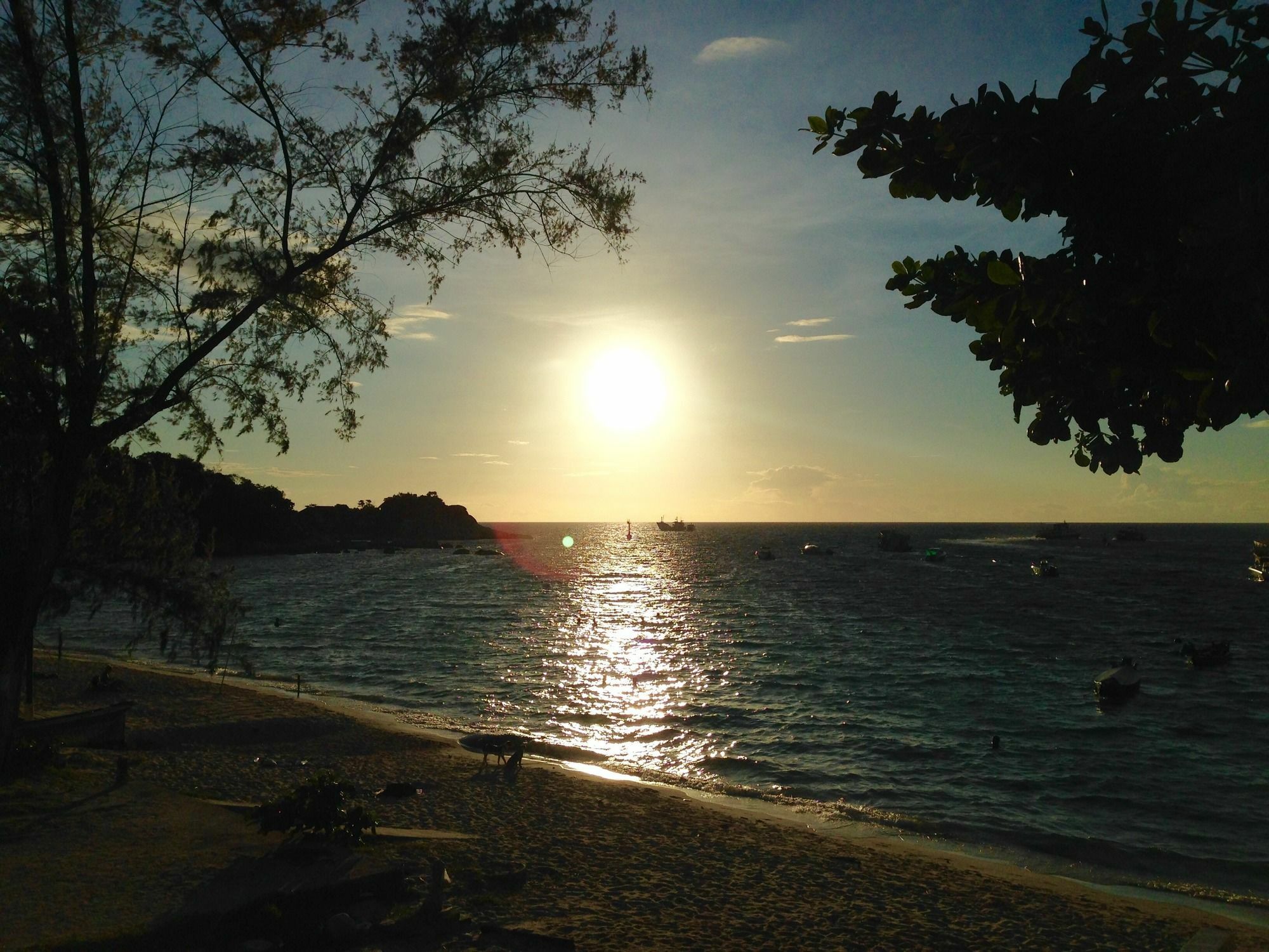 Coral View Studio Koh Tao Exteriör bild
